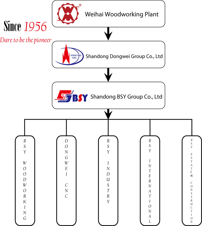 Orgnization of BSY Group